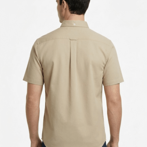 Gemini_Generated_Image_4nkx9l4nkx9l4nkx (1)